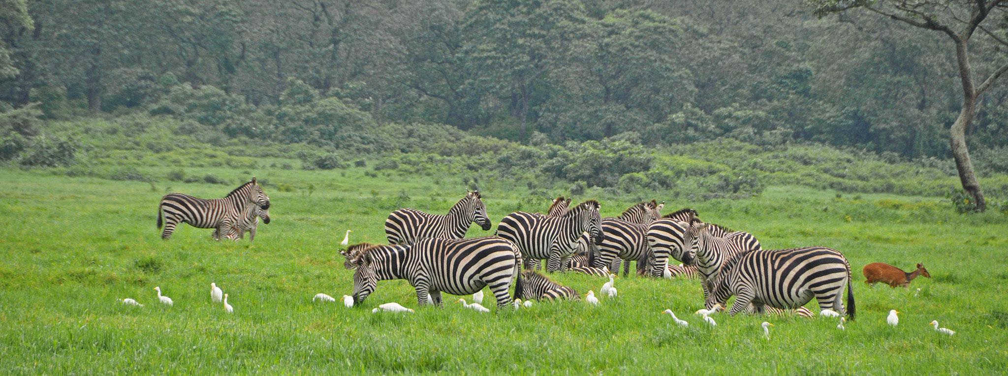 Arusha National Park & Canoeing