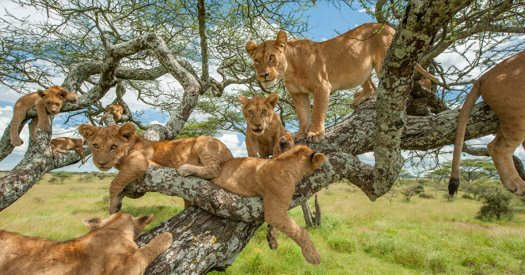 Lake Manyara