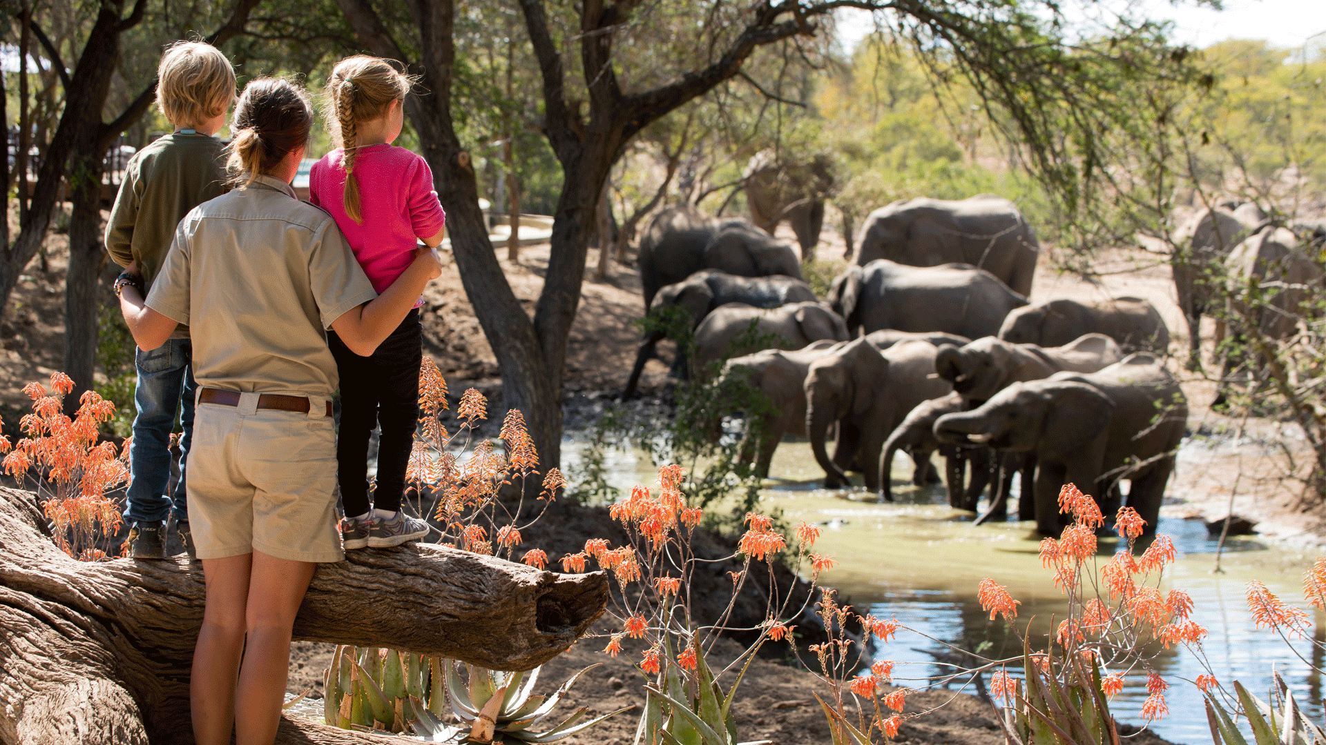 Family Adventure Safari